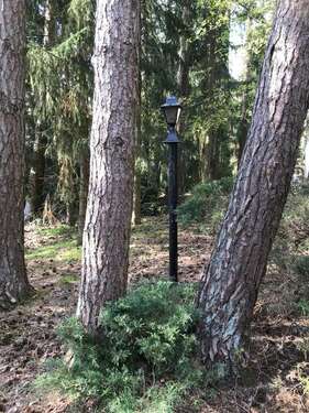 Foto - Grundstück zu verkaufen in Lindwedel 175.000,00 € 1000 m²