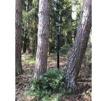 Grundstück zu verkaufen in Lindwedel 225.000,00 € 1000 m²