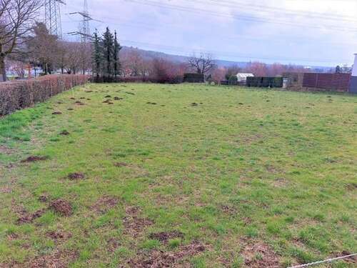 Foto - Grundstück zu verkaufen in Alfter Impekoven 289.500,00 € 822 m²