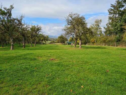 Foto - Grundstück zu verkaufen in Wetter (Hessen) 95.000,00 € 11279 m²