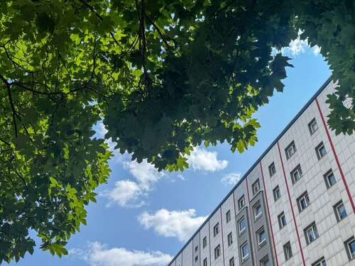 Foto - Wohnung zum Kaufen in Berlin 380.000,00 € 70 m²