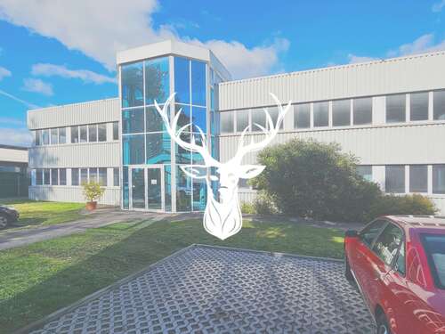 Foto - Halle in Lauchringen 1.250.000,00 € 1135 m²