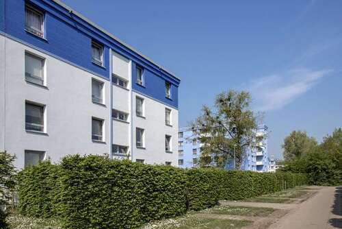Foto - Wohnung zum Mieten in Monheim 682,00 € 55 m²
