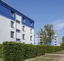 Wohnung zum Mieten in Monheim 682,00 € 55 m²
