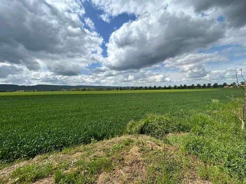 Foto - Grundstück zu verkaufen in Holtensen 222.000,00 € 1700 m²