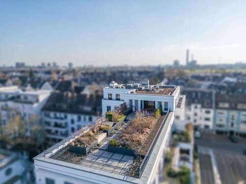 Foto - Wohnung zum Kaufen in Düsseldorf - Oberkassel 3.250.000,00 € 190 m²