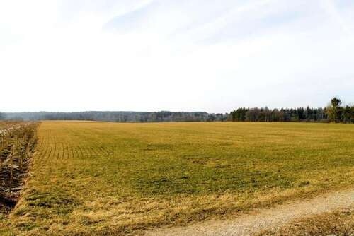 Foto - Grundstück zu verkaufen in Mundraching 149.000,00 € 18930 m²