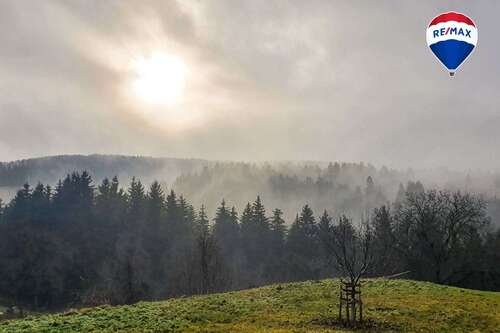 Foto - Haus zum Kaufen in Bonndorf 890.000,00 € 225 m²
