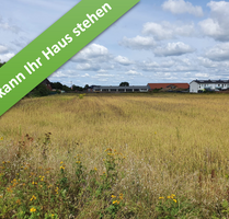 Haus zum Kaufen in Meinersen 367.050,00 € 144 m²