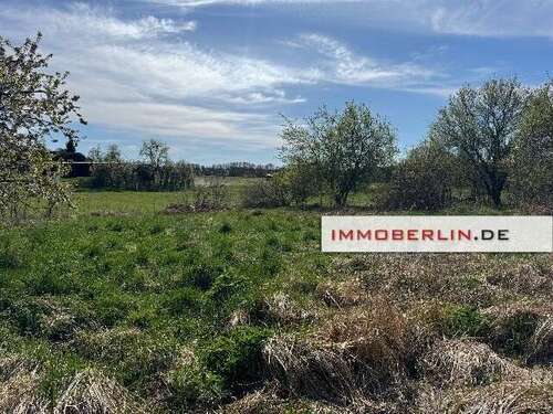Foto - Haus zum Kaufen in Strausberg 394.000,00 € 200 m²