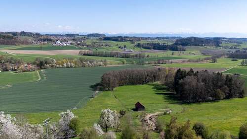 Foto - Haus zum Kaufen in Grünkraut 895.000,00 € 155 m²