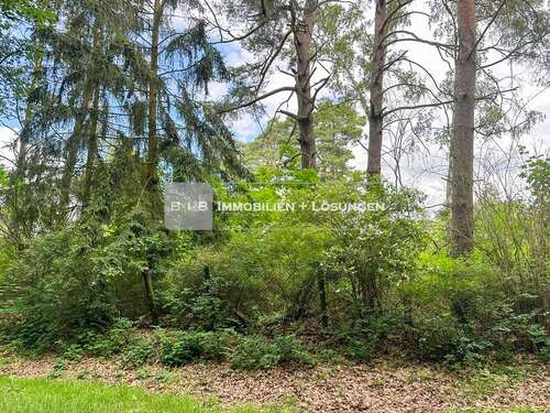 Foto - Grundstück zu verkaufen in Senzig 375.000,00 € 1124 m²