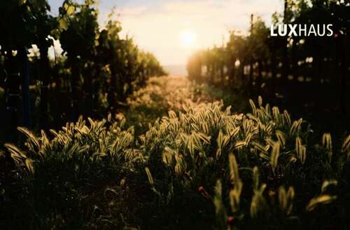 Foto - Grundstück zu verkaufen in Waldbronn 340.000,00 € 700 m²