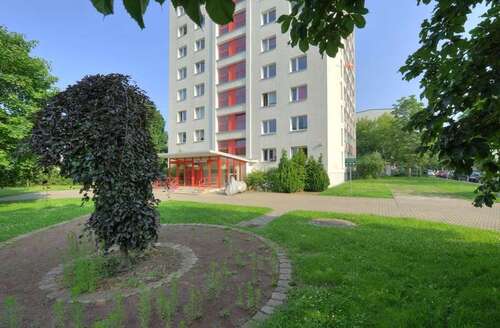 Foto - Wohnung zum Mieten in Halle 225,00 € 26.3 m²