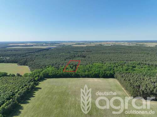 Foto - Grundstück in Kloster Lehnin 6.700,00 € 7907 m²