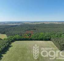 Grundstück in Kloster Lehnin 6.700,00 € 7907 m²