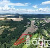Grundstück in Krayenberggemeinde-Dorndorf 6.000,00 € 9877 m²