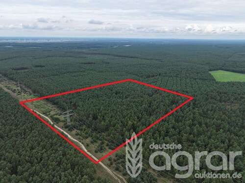 Foto - Grundstück in Steinhöfel 69.900,00 € 101618 m²