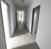 Büro in Halle (Saale)-Versorgungsgebiet 350,00 € 92 m²