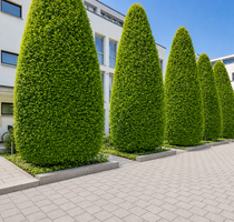 Wohnung zum Kaufen in Düsseldorf 2.300.000,00 € 240 m²