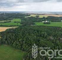 Grundstück in Auma 20.800,00 € 24809 m²