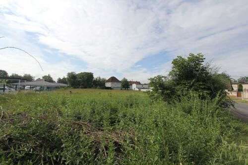 Foto - Grundstück zu verkaufen in Teutschenthal-Steuden 82.175,00 € 865 m²