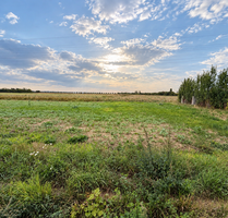 Grundstück zu verkaufen in Augsburg 450.000,00 € 500 m²