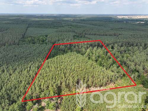 Foto - Grundstück in Friesack Haage 35.500,00 € 40376 m²