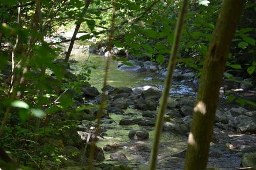 Foto - Haus zum Kaufen in Unterwössen 575.000,00 € 156.32 m²