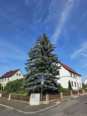 Foto - Haus zum Kaufen in Mühlhausen Thüringen 70.000,00 € 110 m²