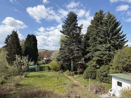 Foto - Haus zum Kaufen in Friedland 198.000,00 € 110 m²
