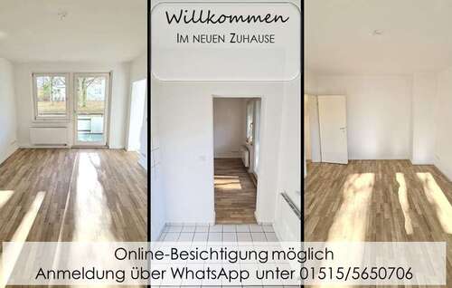 Foto - Wohnung zum Mieten in Chemnitz 255,00 € 41.84 m²