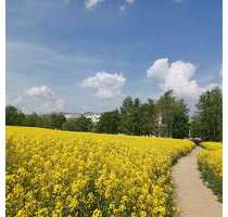 Wohnung zum Mieten in Freiberg 345,00 € 50.59 m²