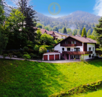 Haus zum Kaufen in Baden-Baden 1.190.000,00 € 378 m²