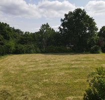 Grundstück zu verkaufen in Winsen ( Aller ) 130.000,00 € 1106 m²