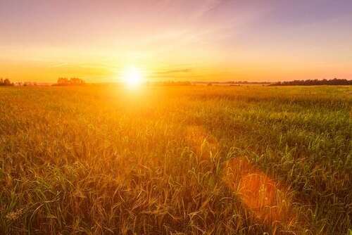 Foto - Grundstück zu verkaufen in Velten 62.700,00 € 285 m²