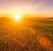 Grundstück zu verkaufen in Velten 62.700,00 € 285 m²