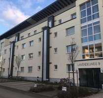 Wohnung zum Mieten in Kelsterbach 520,00 € 32 m²