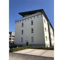 Wohnung zum Mieten in Kelsterbach 550,00 € 32 m²
