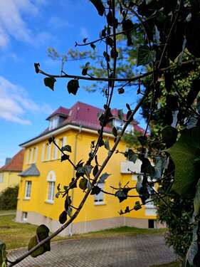 Foto - Haus zum Kaufen in Mühlhausen 500.000,00 € 325 m²