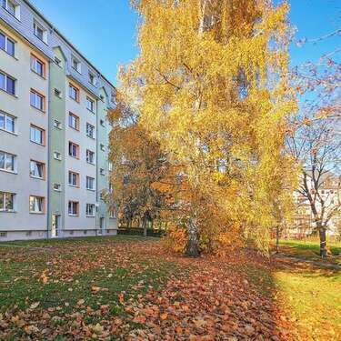 Foto - Wohnung zum Mieten in Freiberg 273,00 € 39 m²