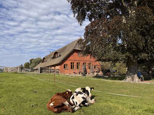 Foto - Haus zum Kaufen in Menzendorf 990.000,00 € 375 m²