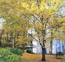 Wohnung zum Mieten in Hoppegarten 750,00 € 67.71 m²