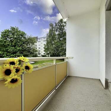 Foto - Wohnung zum Mieten in Freiberg 245,00 € 35 m²