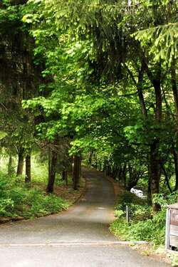 Foto - Wohnen auf Zeit in Altenau 600,00 €
