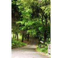 Wohnen auf Zeit in Altenau 600,00 €