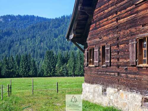 Foto - Haus zum Kaufen in Balderschwang 4.950.000,00 € 120 m²