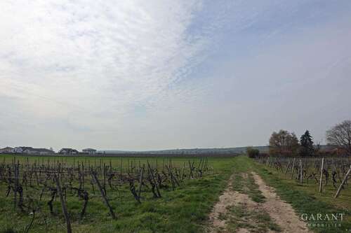 Foto - Haus zum Kaufen in Gimbsheim 379.000,00 € 109 m²