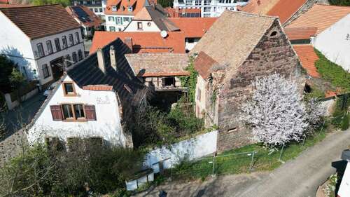 Foto - Grundstück zu verkaufen in Grünstadt Asselheim 139.900,00 € 533 m²