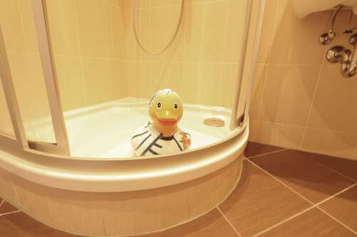 Foto - Wohnung zum Mieten in Chemnitz 351,00 € 57.5 m²